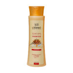Cinere Wheat Germ Protein Shampoo For Daily Care